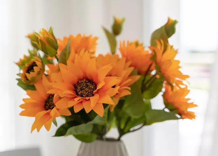 Apartman Dimore Tavolara