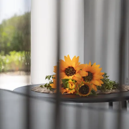 Dimore Tavolara Appartement *